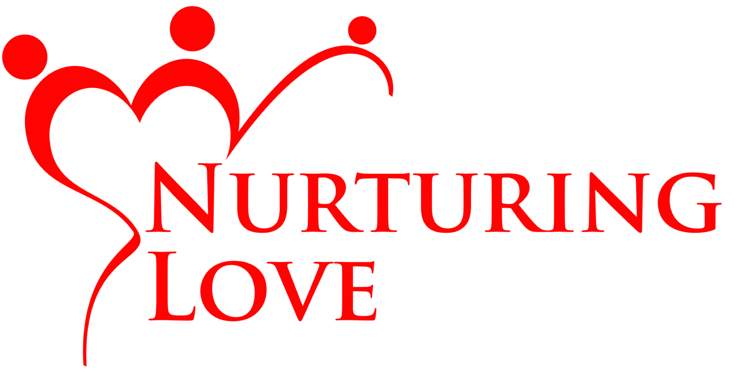 plane logo 2
